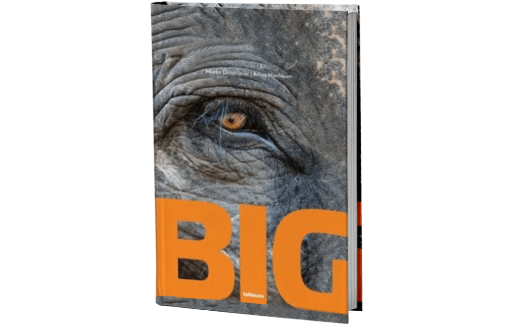 BIG by Marko Dimitrijevic Author